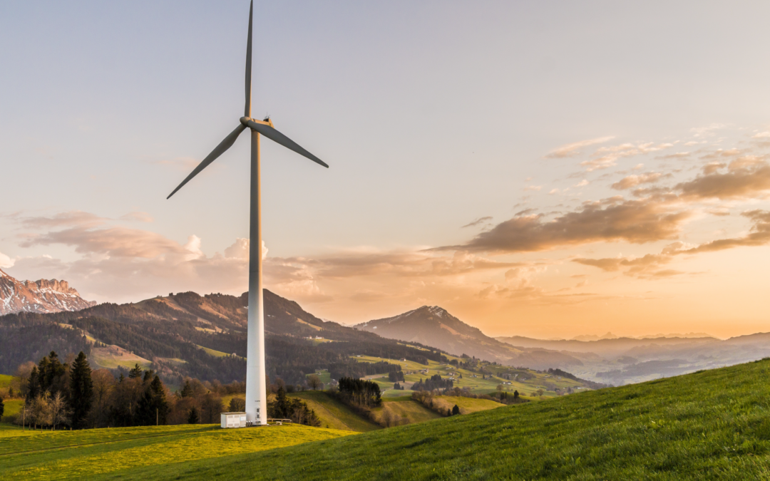 Eco-Innovation: Driving Sustainable Practices in Green Marketing for Enhanced Competitive Advantage